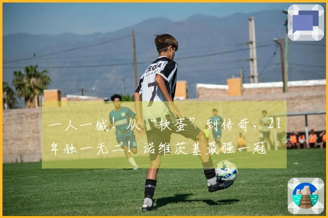 一人一城！从“软蛋”到传奇，21年独一无二！诺维茨基最强一冠