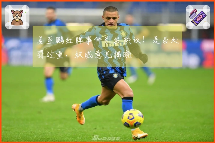 姜至鹏红牌事件引发热议！是否处罚过重，权威意见揭晓